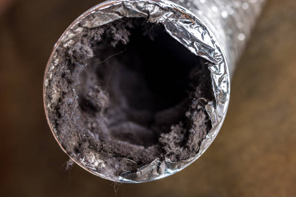 Best HVAC Air Duct Cleaning  in Whitesboro, NJ