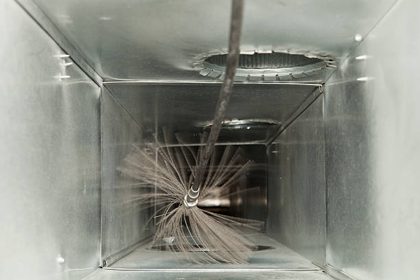 Best Air Duct Mold Removal  in Whitesboro, NJ